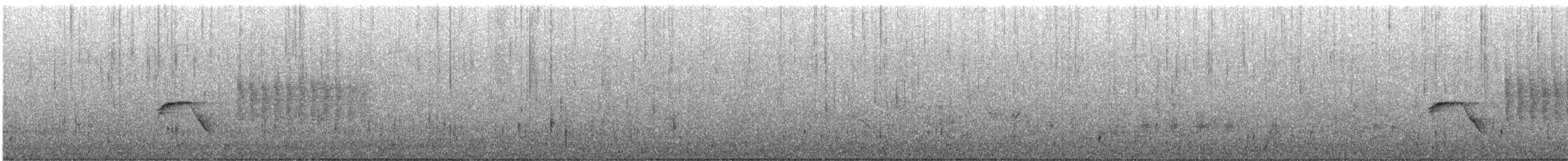 Тауї плямистий - ML620489963