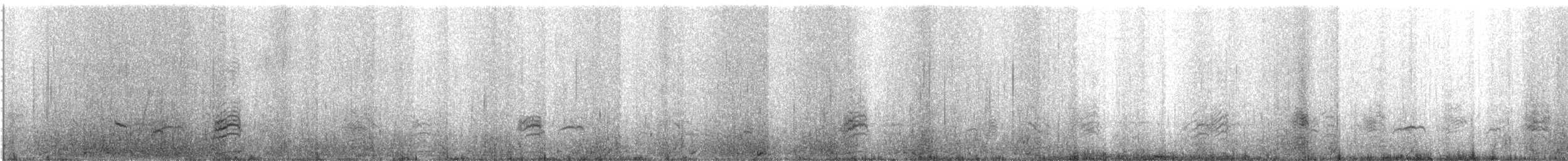 Andean Teal - ML620490056