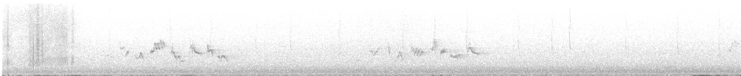 Warbling Vireo (Western) - ML620490089