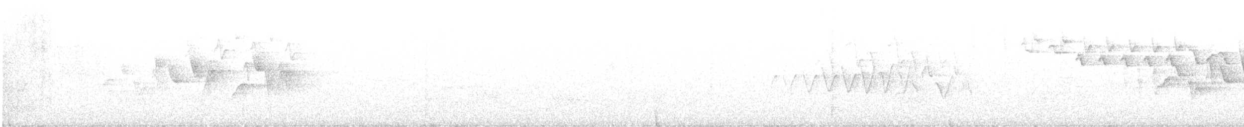 Canada Warbler - ML620490123