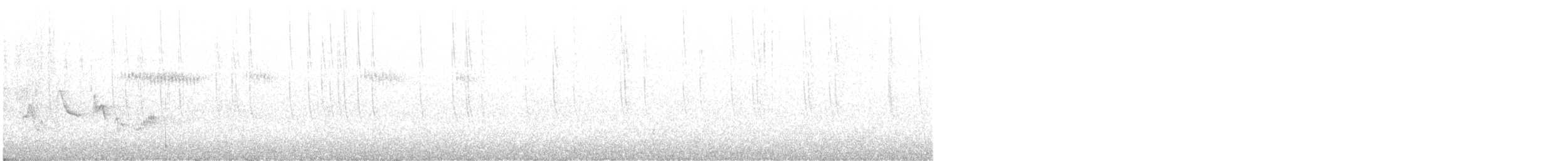 Широкохвостый колибри - ML620490157