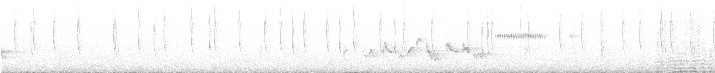 Warbling Vireo (Western) - ML620490221