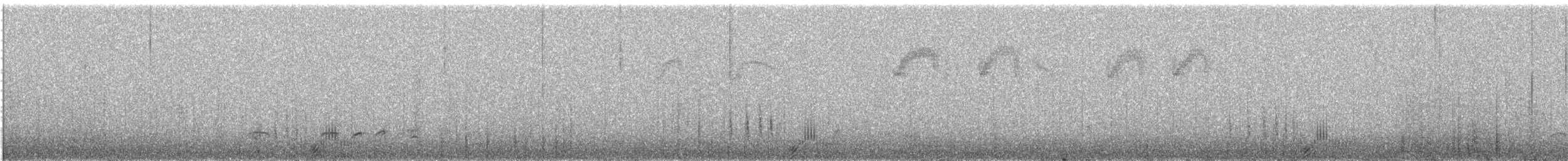 Савка андійська (підвид andina) - ML620490361