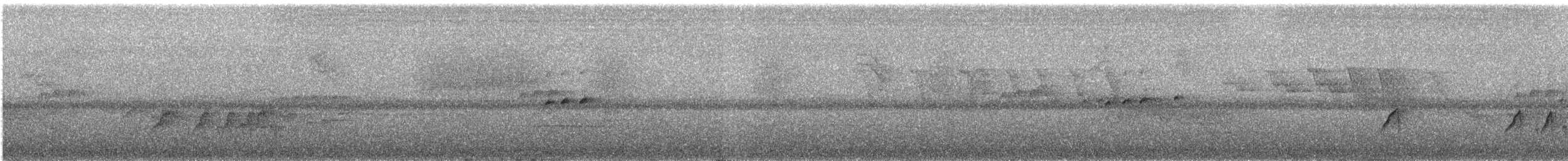 Тиран-крихітка темноголовий - ML620490838