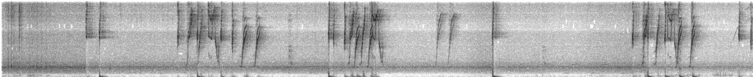 Pampa İspinozu - ML620491712