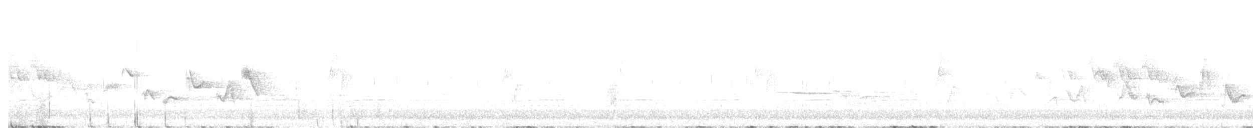Віреон світлобровий [група swainsoni] - ML620492139