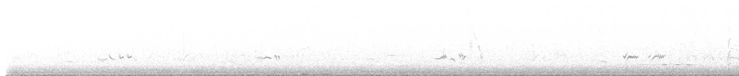 gråflanketrosteskvett - ML620492437