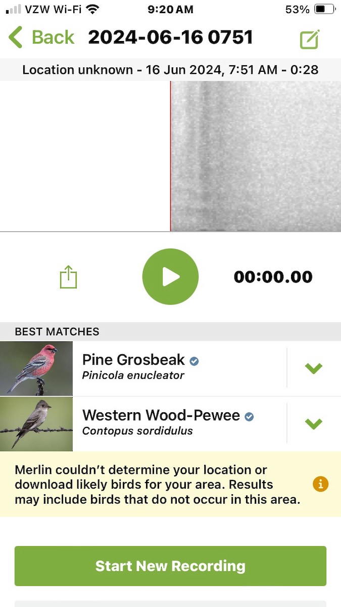 Pine Grosbeak - ML620492550