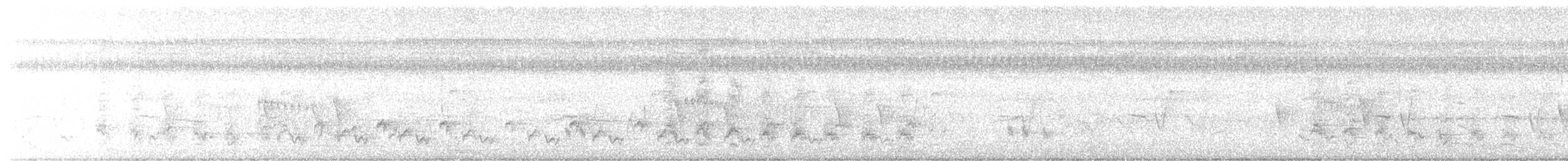 Storchschnabelliest - ML620494366