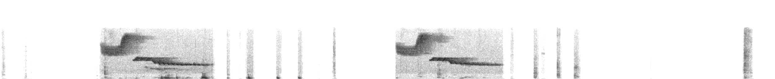 Белогрудый крапивник - ML620496325