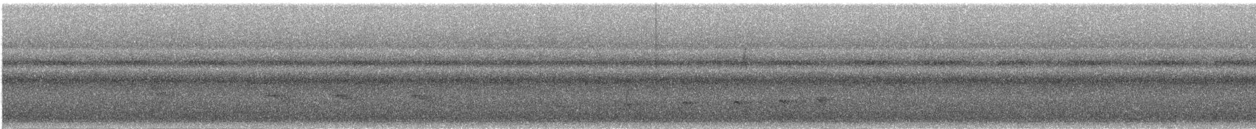 Schwarzbrust-Ameisenfänger - ML620496507