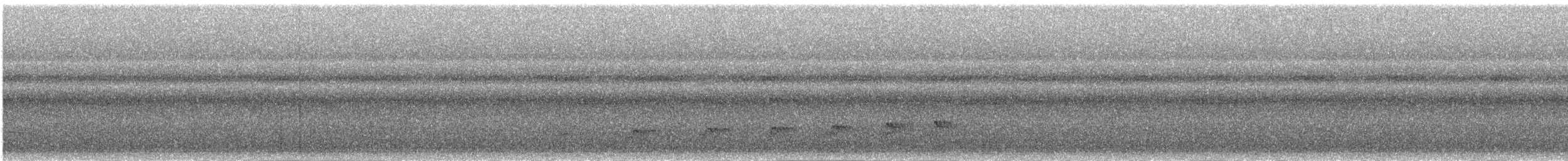 Schwarzbrust-Ameisenfänger - ML620496508