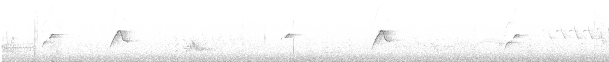 Batı Amerika Sinekkapanı (occidentalis/hellmayri) - ML620496606