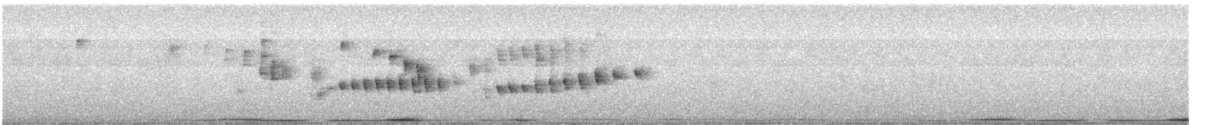 Feinschnabel-Grautangare - ML620497147