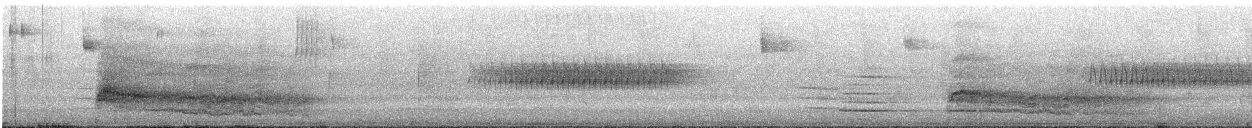 Rotschwanzbussard (borealis) - ML620498401