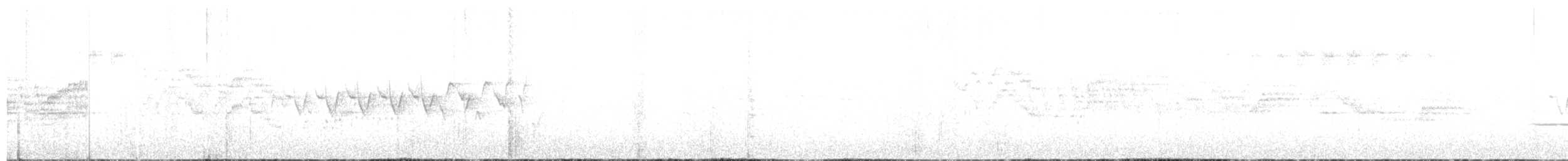 Дрізд-короткодзьоб канадський - ML620499173