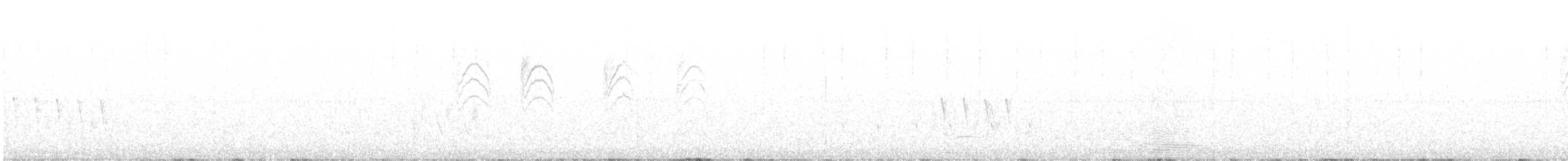 leskot modrošedý [skupina obscura] - ML620500007