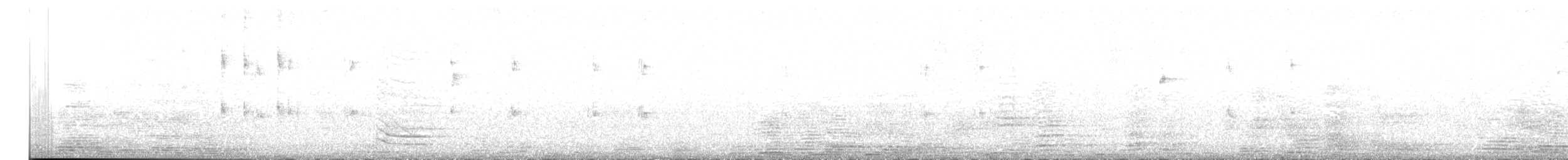 Grauscheitel-Kleintyrann - ML620501872