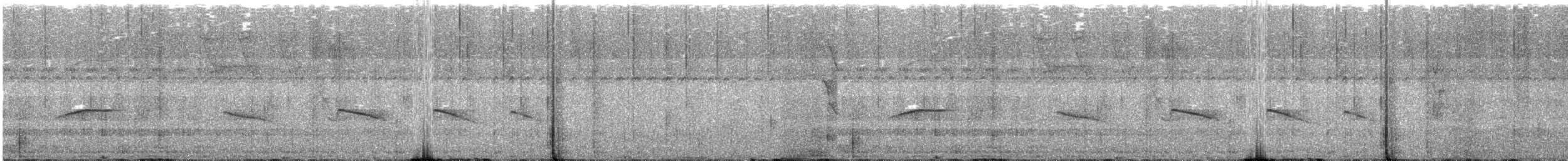 Southern Beardless-Tyrannulet - ML620502644