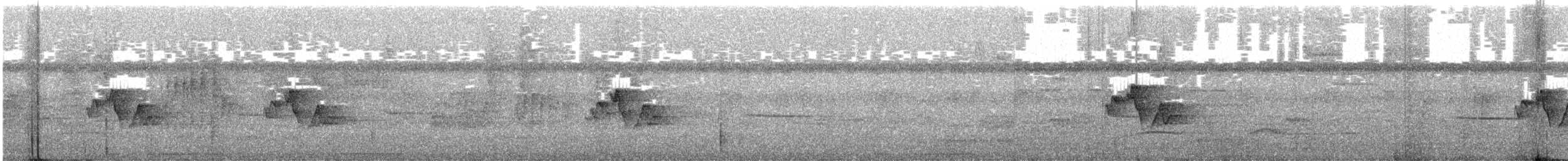 Lesser Greenlet - ML620503147