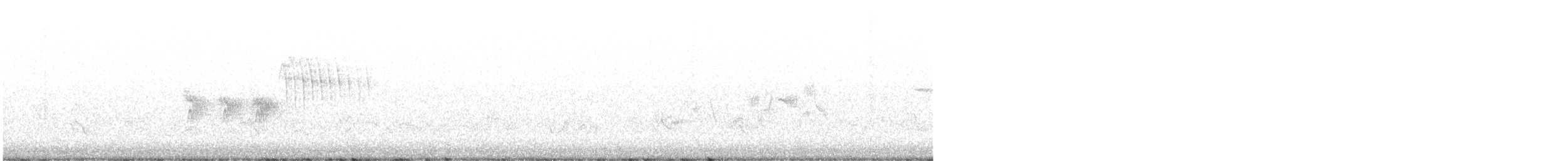 Black-throated Gray Warbler - ML620503552