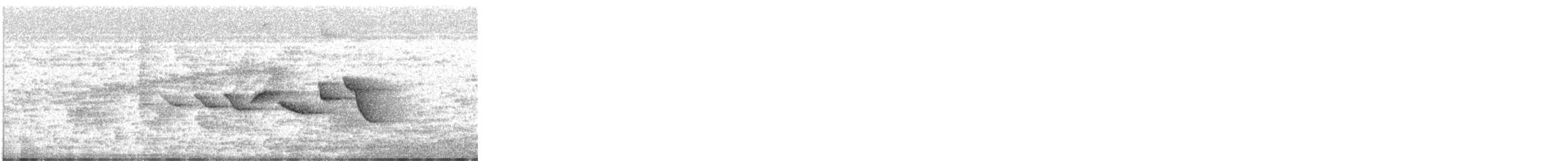 Paruline des rochers - ML620505182