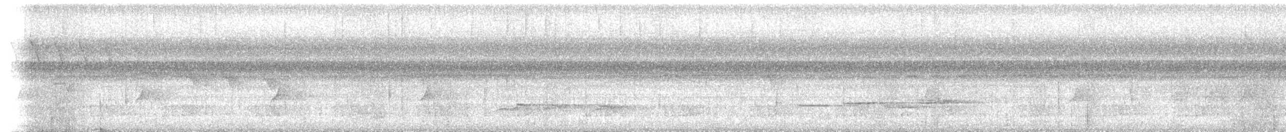 White-necked Babbler - ML620505740