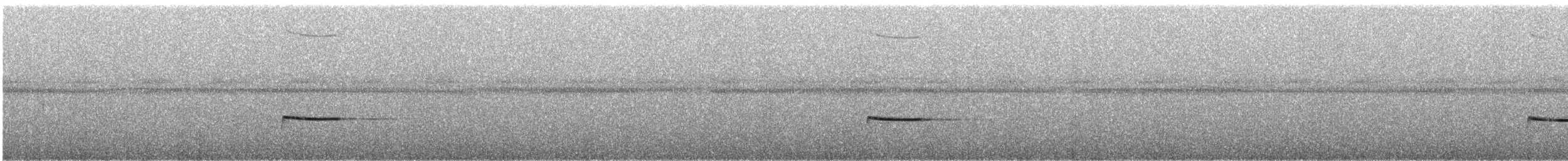 Troglodyte siffleur - ML620506461