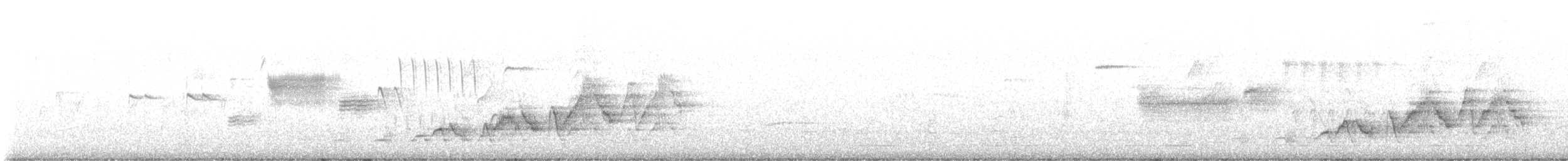 Дрізд-короткодзьоб Cвенсона - ML620507150
