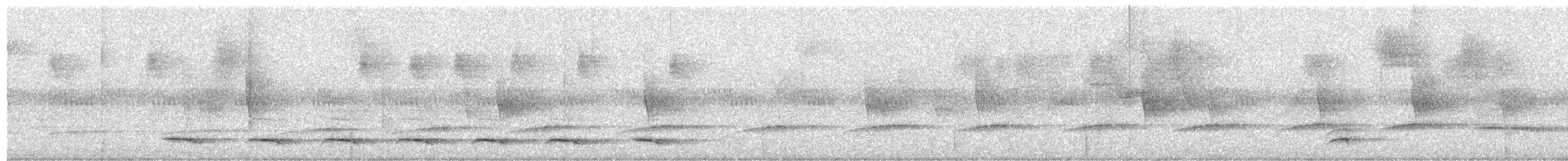 Atlantik Kara Gerdanlı Trogonu - ML620507357