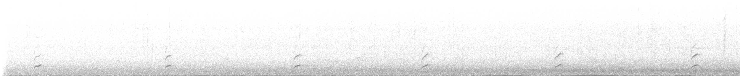 Дрізд-короткодзьоб Cвенсона - ML620508071