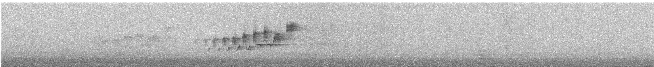 Black-throated Gray Warbler - ML620511849