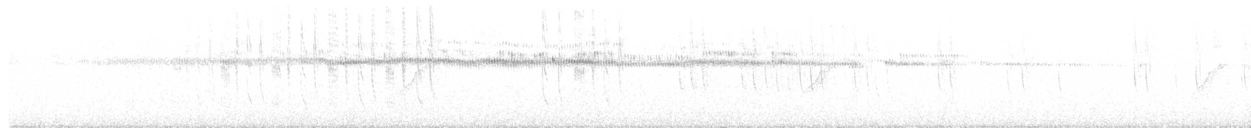 Широкохвостый колибри - ML620515221