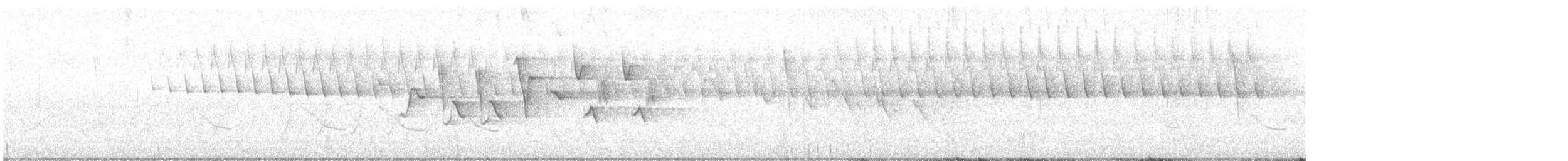 Schwirrammer - ML620517083