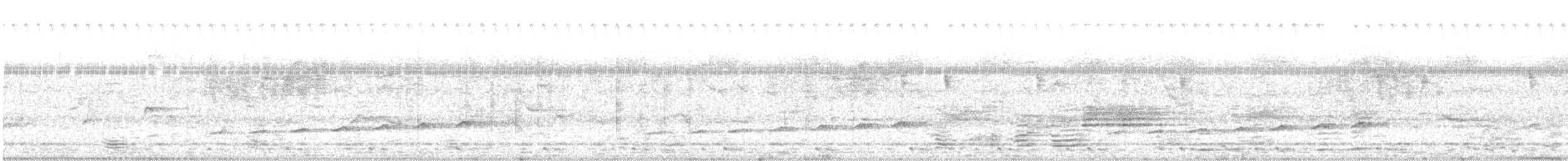 Вилохвостая дронговая кукушка - ML620518945