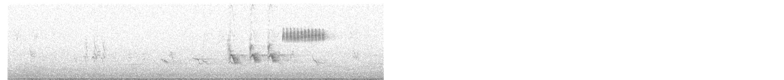 Тауї плямистий [група maculatus] - ML620519054