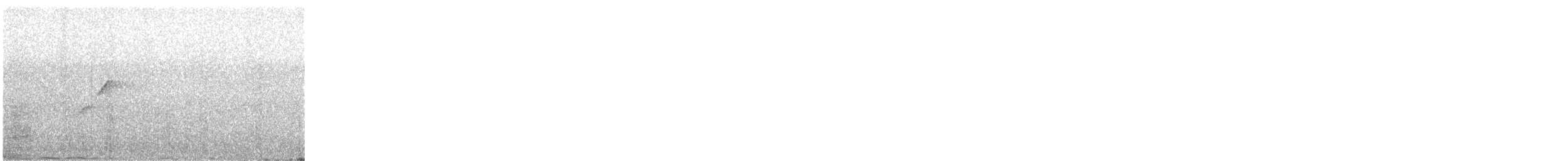 Batı Amerika Sinekkapanı (occidentalis/hellmayri) - ML620519275