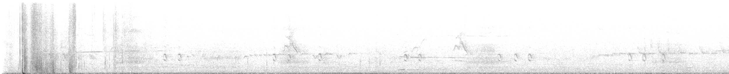 Cassia Crossbill - ML620520115