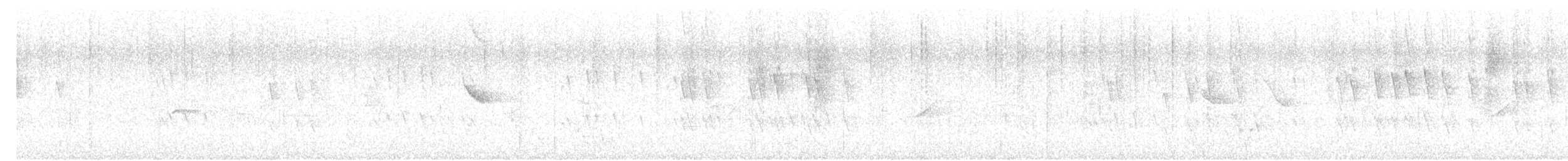 Iiwikleidervogel - ML620520409