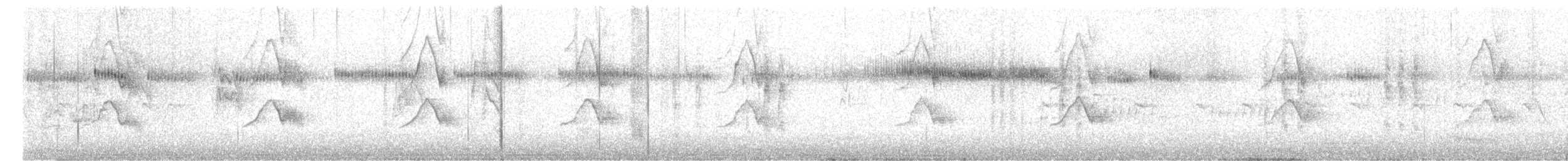 Широкохвостый колибри - ML620521361