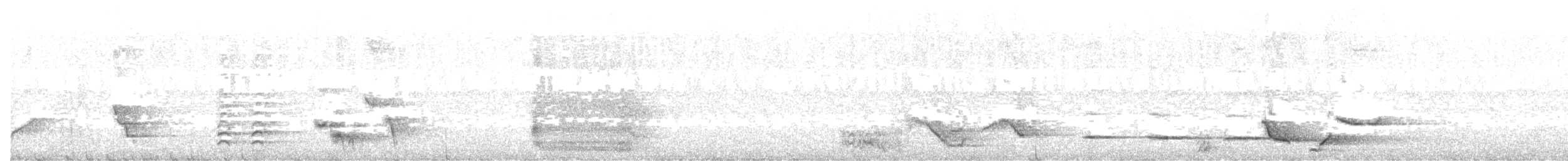Ménure superbe - ML620521365