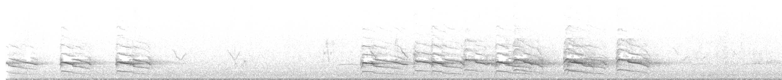 Rotschulterbussard (elegans) - ML620522180