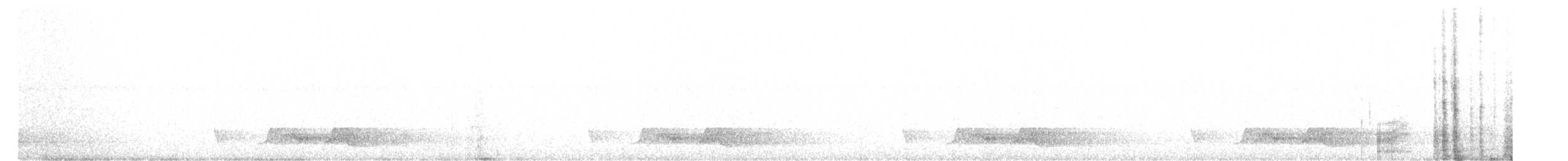 Carolinanachtschwalbe - ML620523319