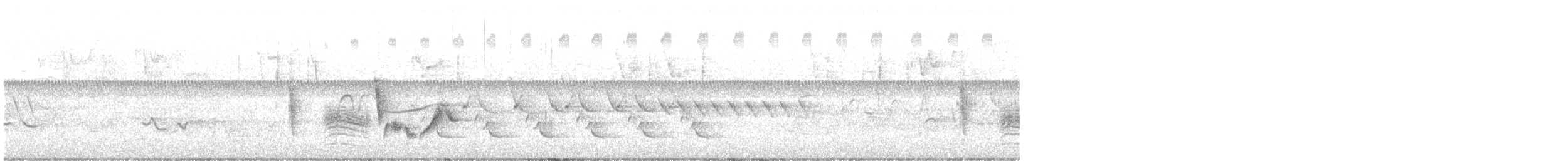 Поплітник каролінський - ML620523947