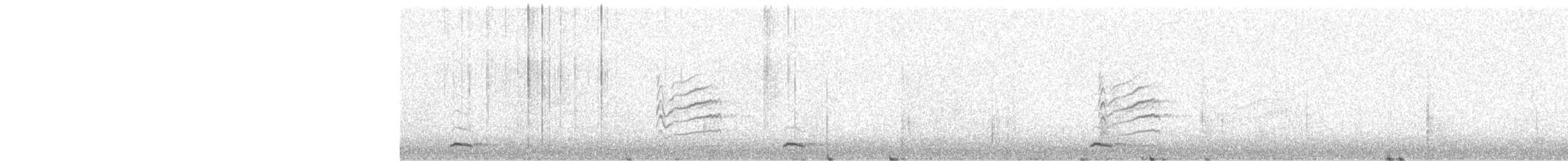 Mochuelo Californiano (grupo californicum) - ML620525949