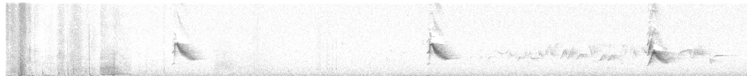 Пестрогорлый соловьиный дрозд - ML620528997