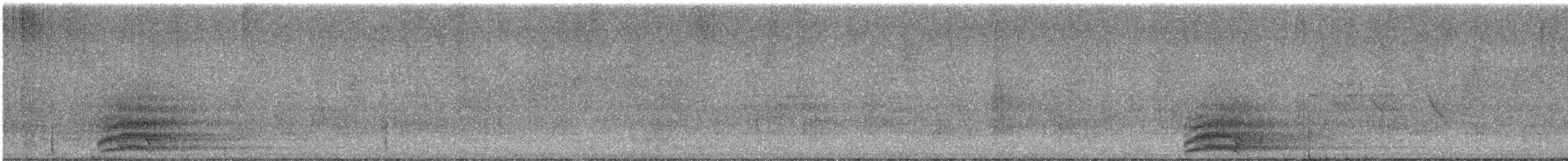 Cuervo Grande - ML620530570