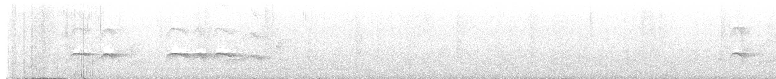 Atlantik Karınca Tiranı - ML620531163