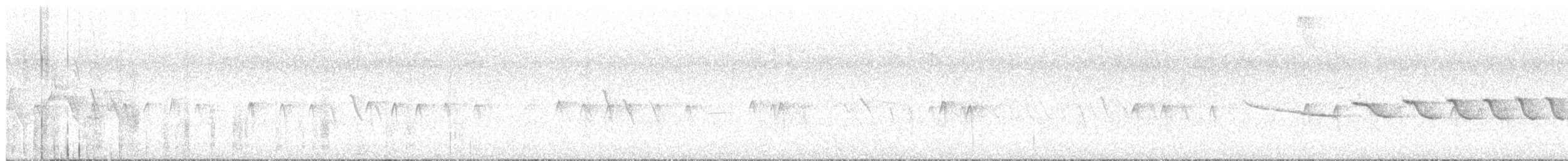 "Шишкар ялиновий (Northeastern, або тип 12)" - ML620532017