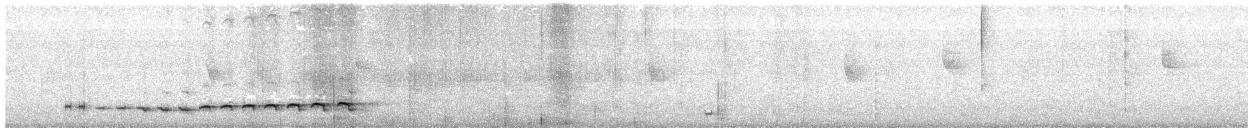 Крапчатый торорой - ML620532136